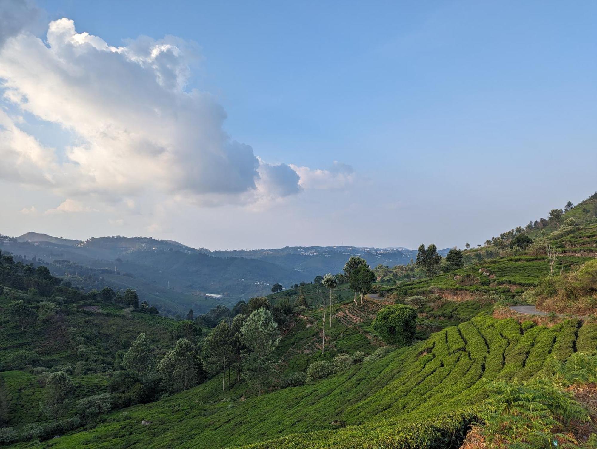 Ghar Homestay, Kotagiri Exterior foto